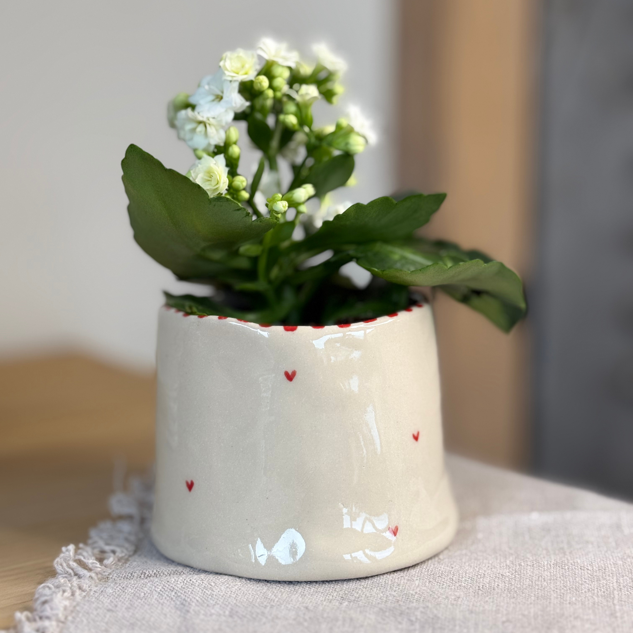 Adore You Flower Pot