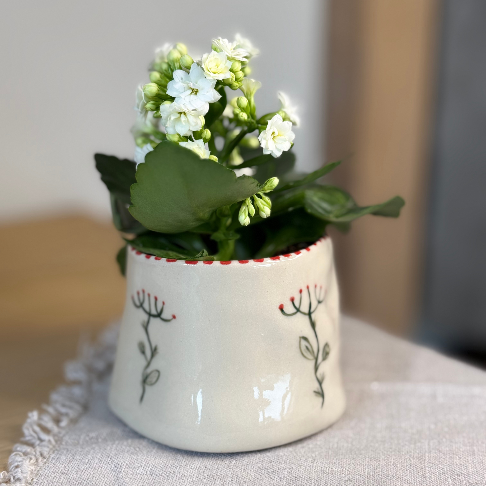 Bloom Flower Pot