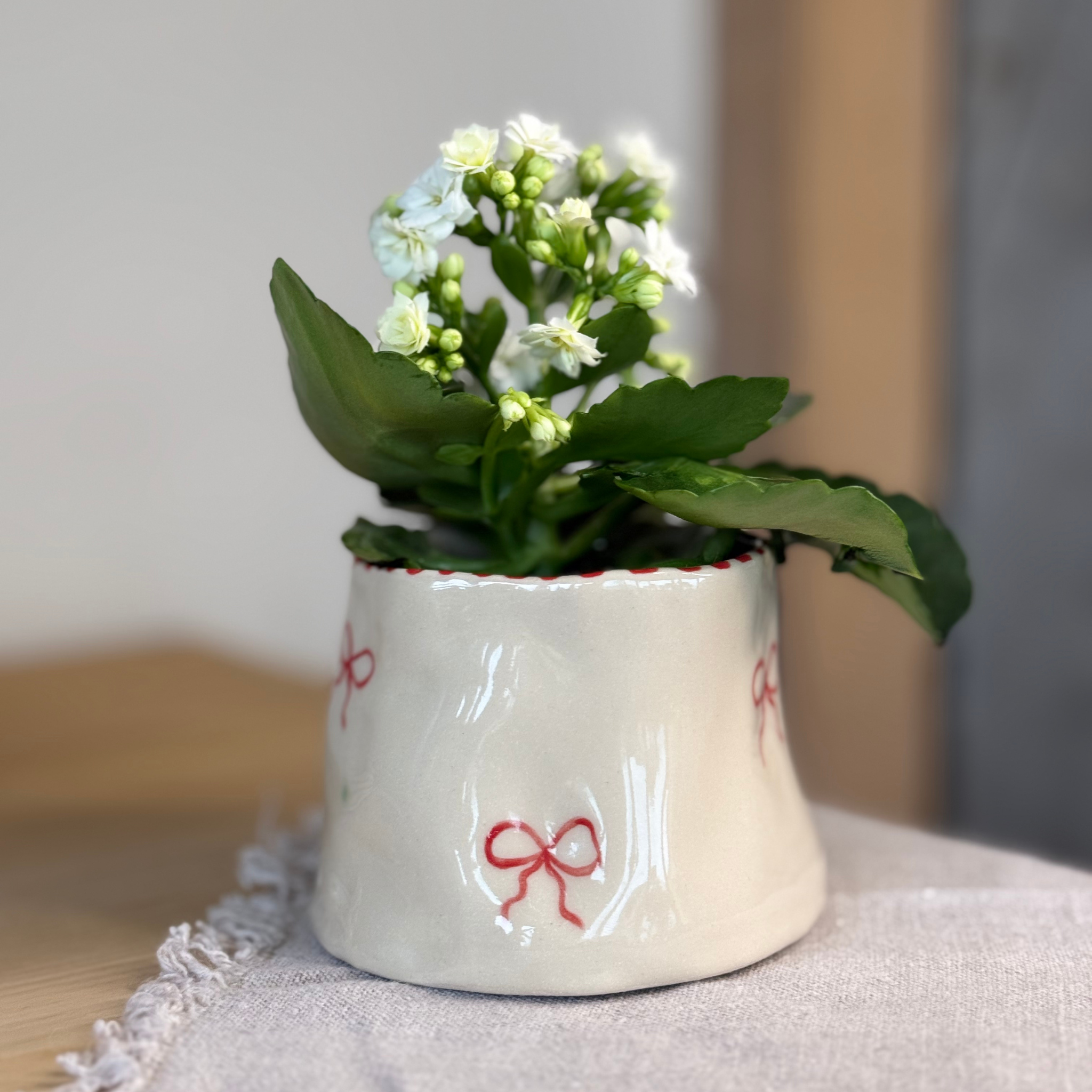 Bow Flower Pot